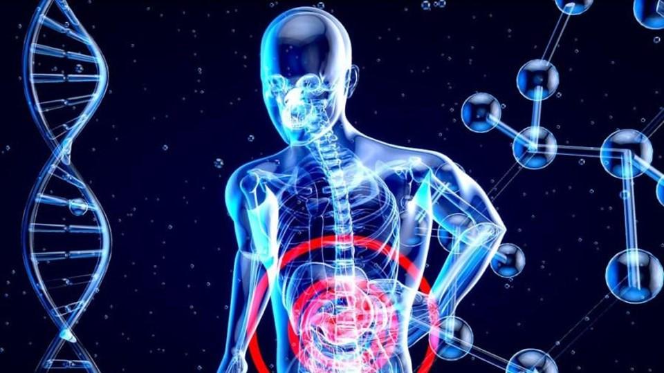 Incyte Partners With Edison to Build AI Models Through Drug Discovery Pipeline